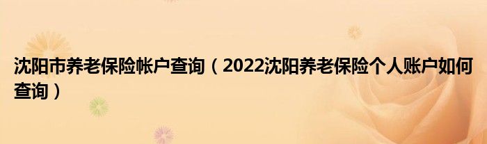 沈阳市养老保险帐户查询（2022沈阳养老保险个人账户如何查询）