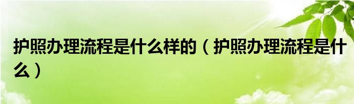 护照办理流程是什么样的（护照办理流程是什么）