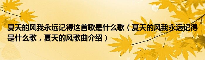 夏天的风我永远记得这首歌是什么歌（夏天的风我永远记得是什么歌，夏天的风歌曲介绍）