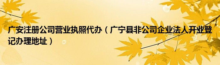 广安注册公司营业执照代办（广宁县非公司企业法人开业登记办理地址）