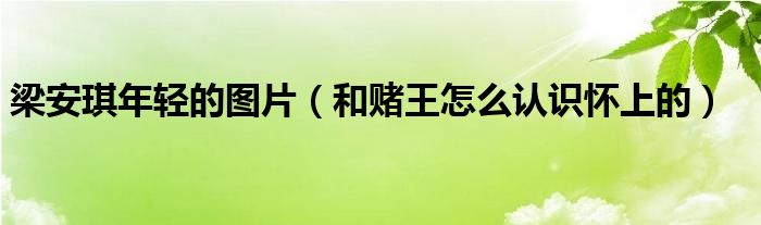 梁安琪年轻的图片（和赌王怎么认识怀上的）