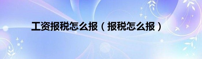 工资报税怎么报（报税怎么报）