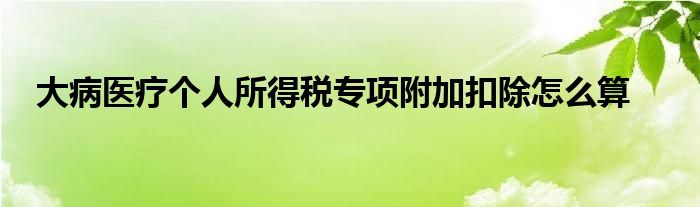 大病医疗个人所得税专项附加扣除怎么算