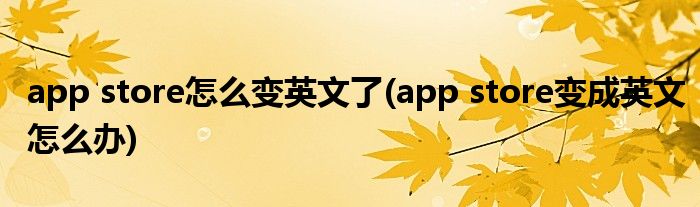 app store怎么变英文了(app store变成英文怎么办)