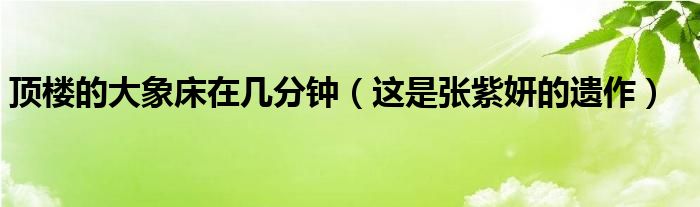 顶楼的大象床在几分钟（这是张紫妍的遗作）