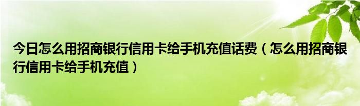 今日怎么用招商银行信用卡给手机充值话费（怎么用招商银行信用卡给手机充值）