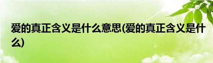 爱的真正含义是什么意思(爱的真正含义是什么)