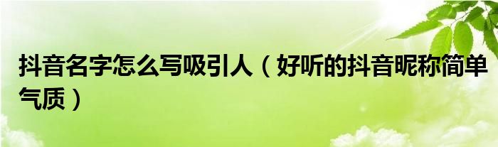 抖音名字怎么写吸引人（好听的抖音昵称简单气质）