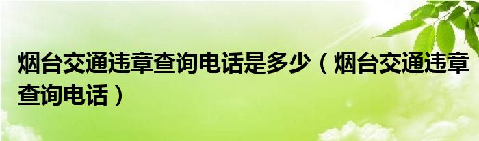 烟台交通违章查询电话是多少（烟台交通违章查询电话）