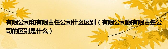 有限公司和有限责任公司什么区别（有限公司跟有限责任公司的区别是什么）