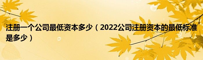 注册一个公司最低资本多少（2022公司注册资本的最低标准是多少）