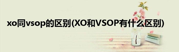 xo同vsop的区别(XO和VSOP有什么区别)