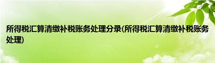 所得税汇算清缴补税账务处理分录(所得税汇算清缴补税账务处理)