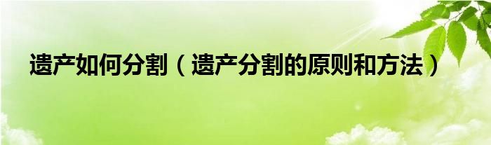 遗产如何分割（遗产分割的原则和方法）