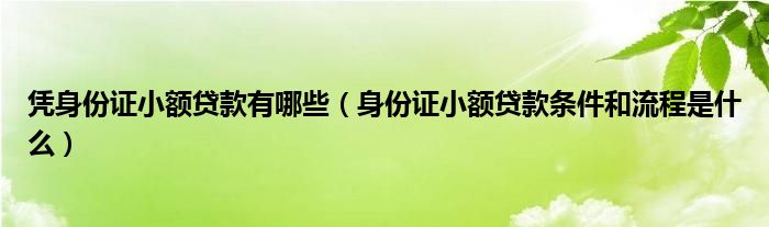 凭身份证小额贷款有哪些（身份证小额贷款条件和流程是什么）