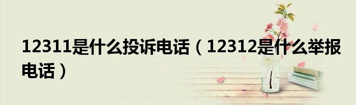 12311是什么投诉电话（12312是什么举报电话）