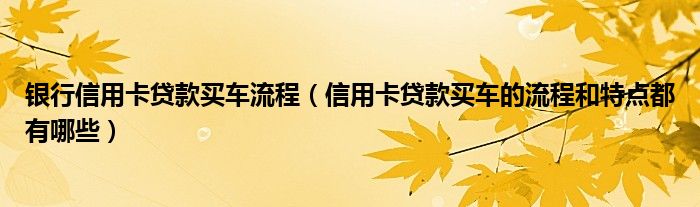 银行信用卡贷款买车流程（信用卡贷款买车的流程和特点都有哪些）