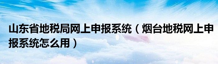 山东省地税局网上申报系统（烟台地税网上申报系统怎么用）