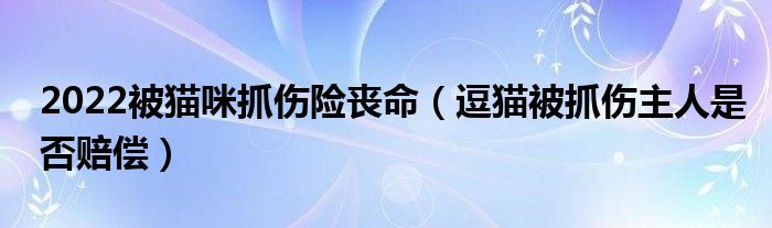 2022被猫咪抓伤险丧命（逗猫被抓伤主人是否赔偿）