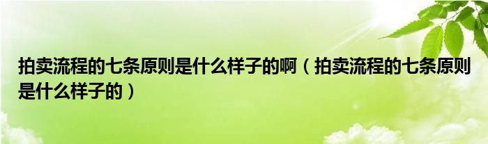 拍卖流程的七条原则是什么样子的啊（拍卖流程的七条原则是什么样子的）