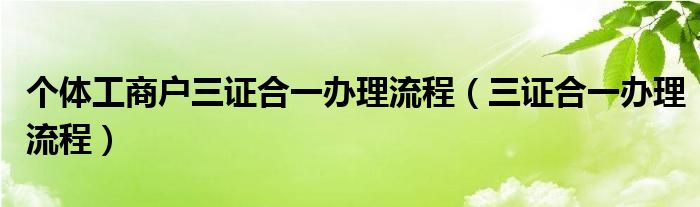 个体工商户三证合一办理流程（三证合一办理流程）