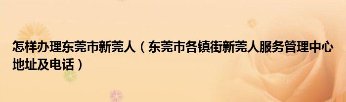 怎样办理东莞市新莞人（东莞市各镇街新莞人服务管理中心地址及电话）