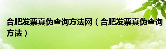 合肥发票真伪查询方法网（合肥发票真伪查询方法）