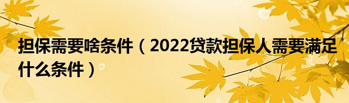 担保需要啥条件（2022贷款担保人需要满足什么条件）