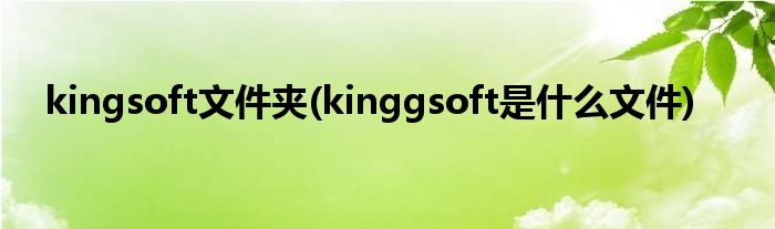 kingsoft文件夹(kinggsoft是什么文件)