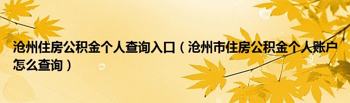 沧州住房公积金个人查询入口（沧州市住房公积金个人账户怎么查询）