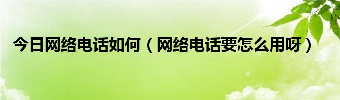 今日网络电话如何（网络电话要怎么用呀）