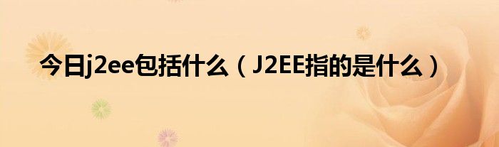 今日j2ee包括什么（J2EE指的是什么）