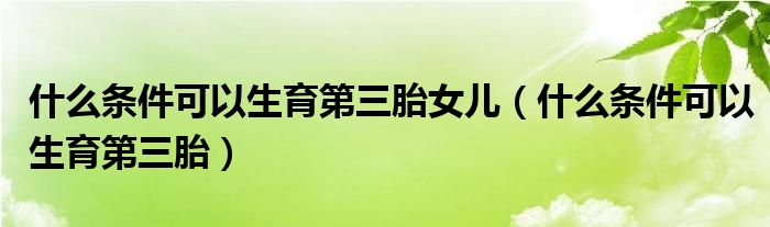 什么条件可以生育第三胎女儿（什么条件可以生育第三胎）