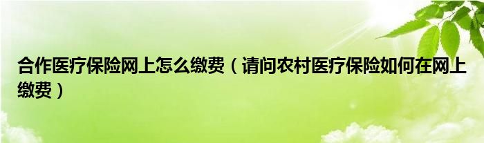 合作医疗保险网上怎么缴费（请问农村医疗保险如何在网上缴费）