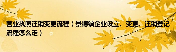 营业执照注销变更流程（景德镇企业设立、变更、注销登记流程怎么走）