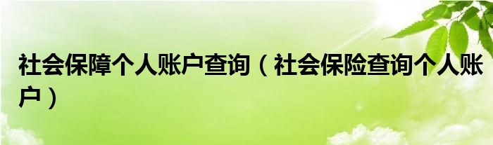 社会保障个人账户查询（社会保险查询个人账户）