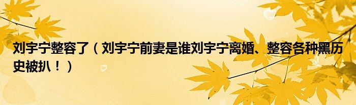 刘宇宁整容了（刘宇宁前妻是谁刘宇宁离婚、整容各种黑历史被扒！）