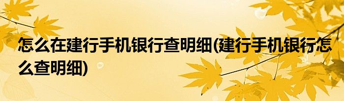 怎么在建行手机银行查明细(建行手机银行怎么查明细)