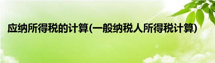 应纳所得税的计算(一般纳税人所得税计算)