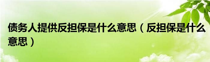 债务人提供反担保是什么意思（反担保是什么意思）