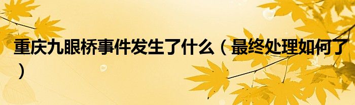 重庆九眼桥事件发生了什么（最终处理如何了）