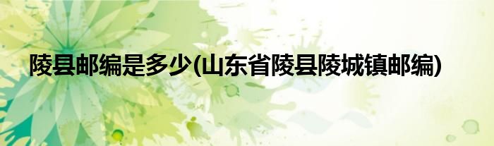 陵县邮编是多少(山东省陵县陵城镇邮编)