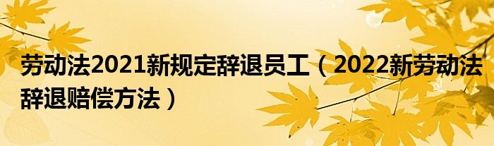 劳动法2021新规定辞退员工（2022新劳动法辞退赔偿方法）