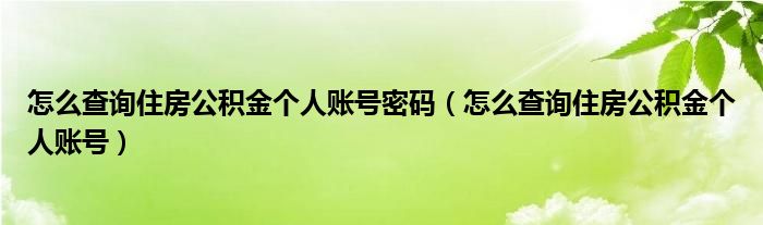 怎么查询住房公积金个人账号密码（怎么查询住房公积金个人账号）