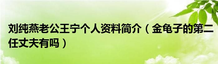 刘纯燕老公王宁个人资料简介（金龟子的第二任丈夫有吗）