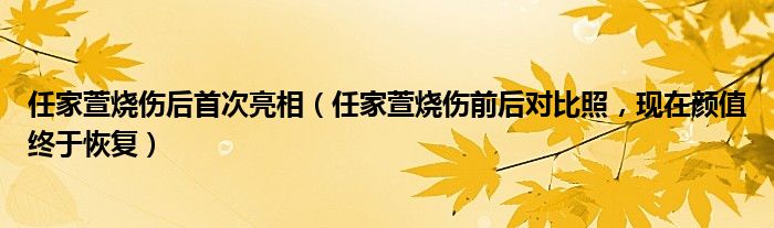 任家萱烧伤后首次亮相（任家萱烧伤前后对比照，现在颜值终于恢复）