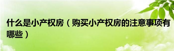 什么是小产权房（购买小产权房的注意事项有哪些）