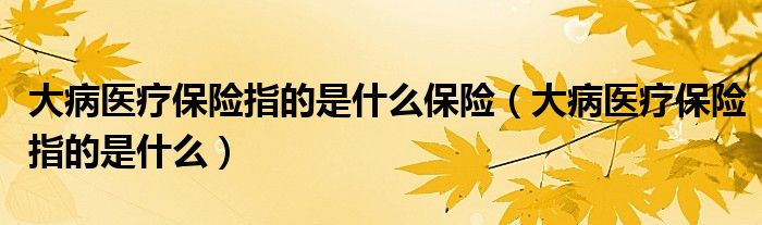 大病医疗保险指的是什么保险（大病医疗保险指的是什么）