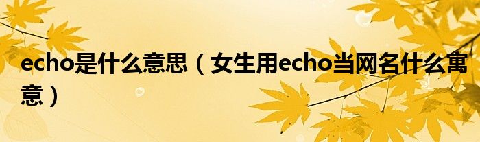 echo是什么意思（女生用echo当网名什么寓意）