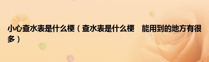 小心查水表是什么梗（查水表是什么梗　能用到的地方有很多）